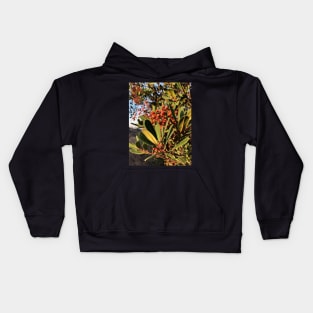 Bright Red Berries in a California Park Kids Hoodie